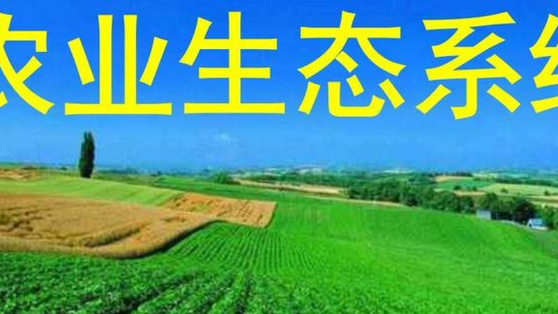 农产品购销合同纠纷：案例分析及预防策略**