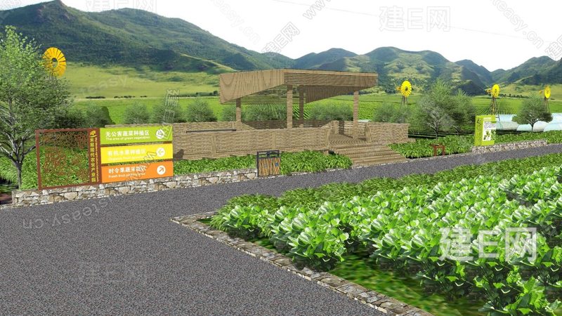 简易注销农民专业合作社，流程详解与注意事项