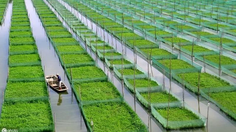 合同条款应尽可能详细、完整，避免出现遗漏或歧义。以下是一些常见的合同条款：