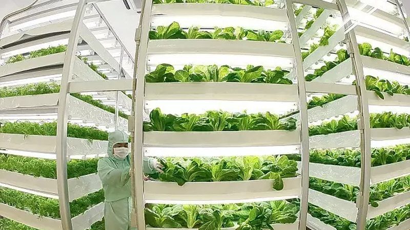绿色食品认证续展费用揭秘：费用构成与影响因素