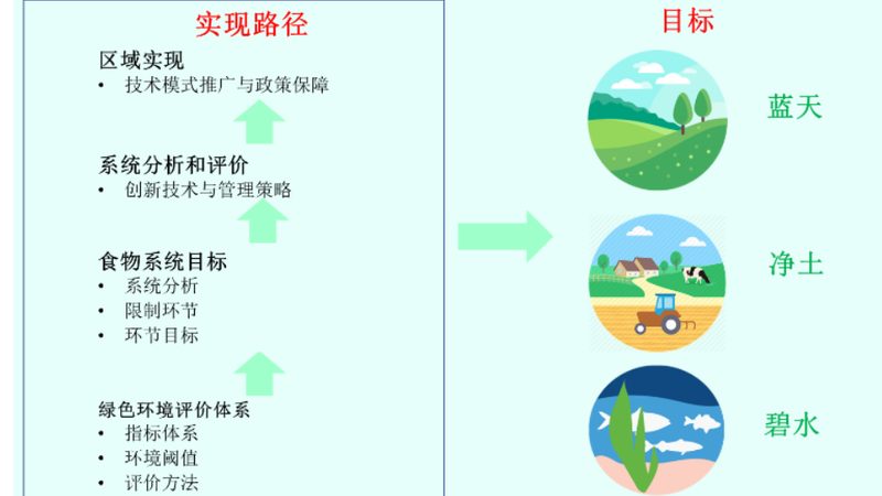 一个可靠的有机蔬菜网上订购平台，首先应具备以下标准：