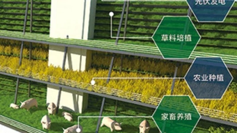 合作社财务管理制度范本：构建透明高效的管理体系