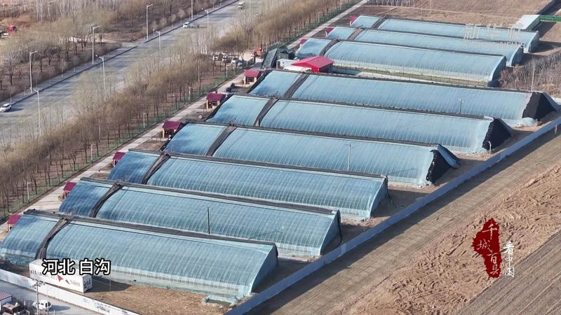 四川家庭农场补贴，了解这些标准更明智**