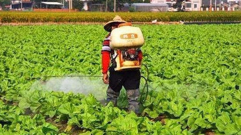 生鲜配送资质办理：合规之路上的关键步骤